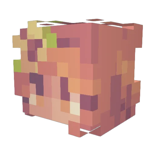 bunnwys Minecraft avatar head, 3D render