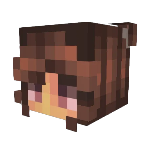 bunny1211 Minecraft avatar head, 3D render