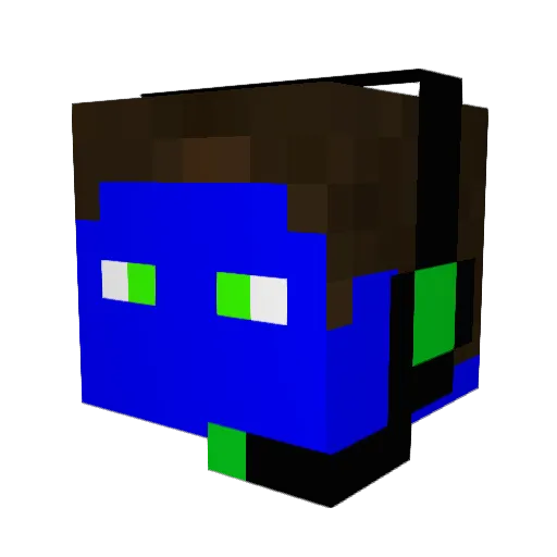 bunny2803 Minecraft avatar head, 3D render