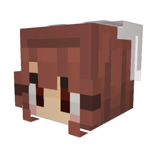 bunnyaradia Minecraft avatar head, 3D render