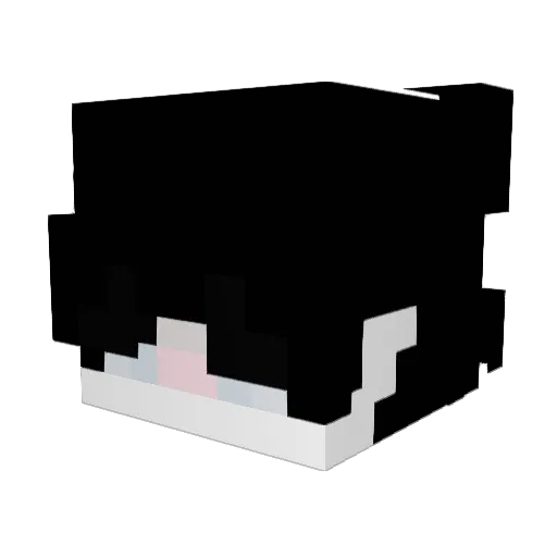 bunnybiscuit Minecraft avatar head, 3D render