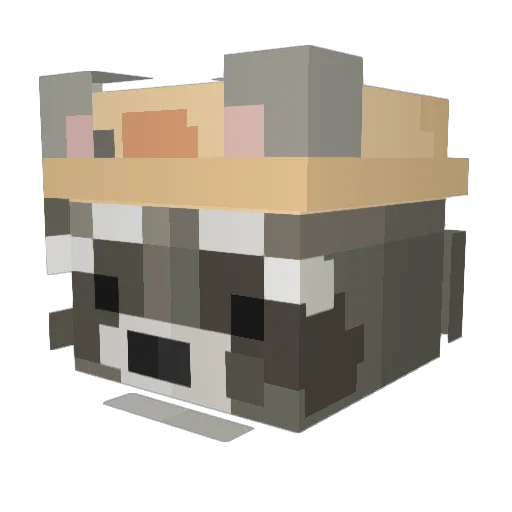 bunnyboonie Minecraft avatar head, 3D render
