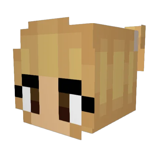 bunnybrush Minecraft avatar head, 3D render
