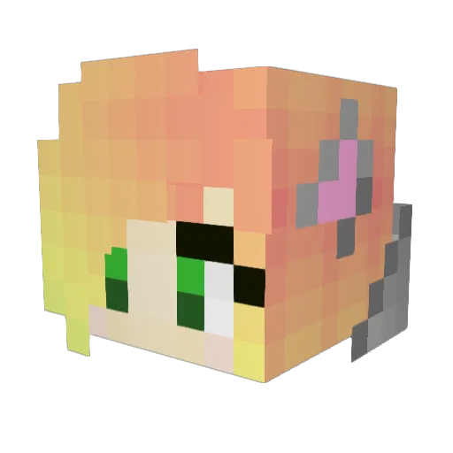 bunnybubbles5 Minecraft avatar head, 3D render