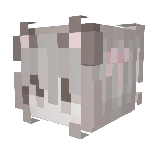 bunnybunbeyo Minecraft avatar head, 3D render