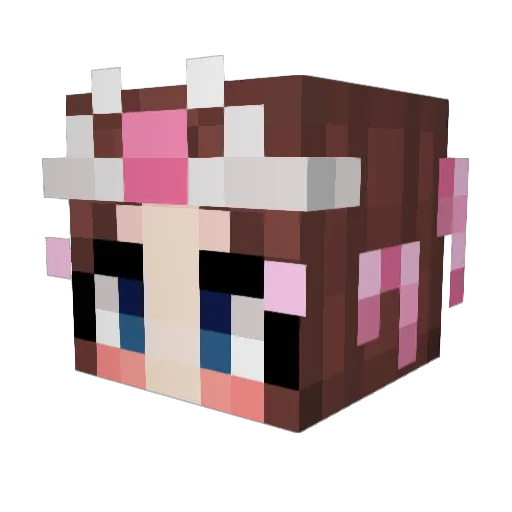 bunnymeeks Minecraft avatar head, 3D render