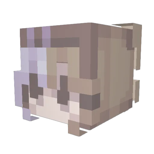 bunnyplayzz Minecraft avatar head, 3D render