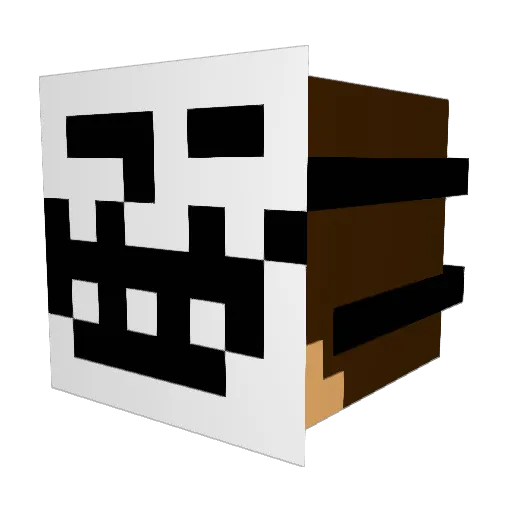 bunnypower123 Minecraft avatar head, 3D render