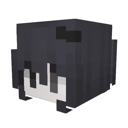 bunnyreze Minecraft avatar head, 3D render