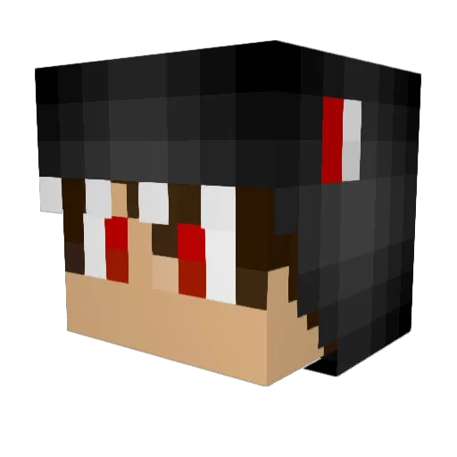 bunnys2003 Minecraft avatar head, 3D render