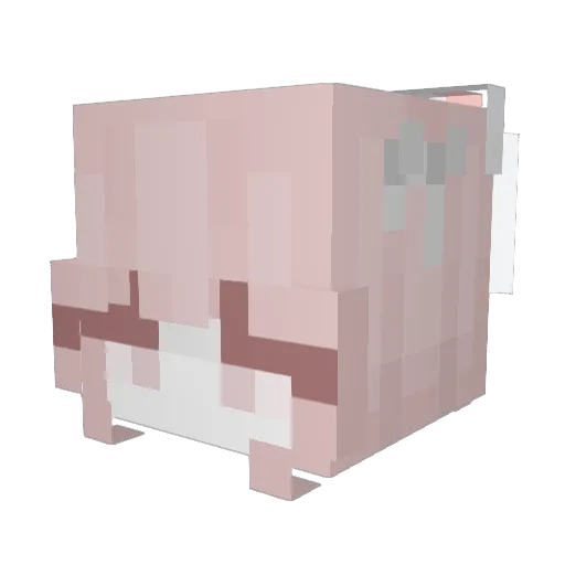 bunnytulips Minecraft avatar head, 3D render