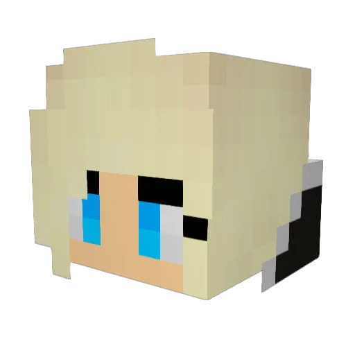 bunnywarren121 Minecraft avatar head, 3D render