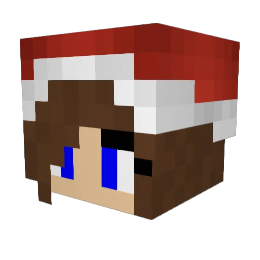bunnyworld5 Minecraft avatar head, 3D render