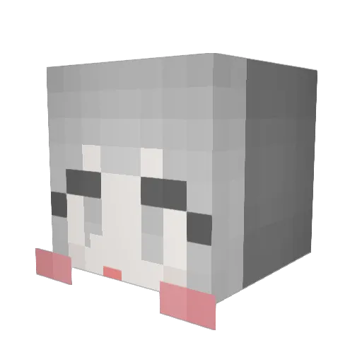 bunong82 Minecraft avatar head, 3D render