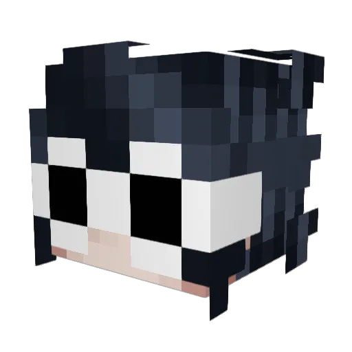 bunsboi9 Minecraft avatar head, 3D render