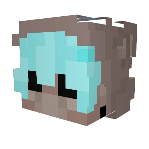 bunybeats214 Minecraft avatar head, 3D render
