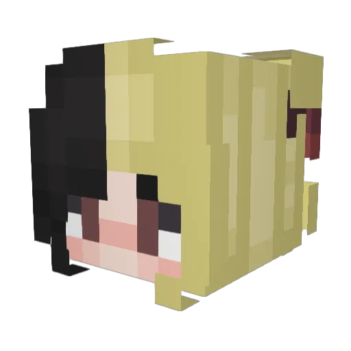 bunymeminecraft Minecraft avatar head, 3D render