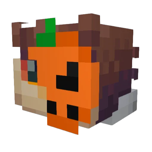 buo07 Minecraft avatar head, 3D render