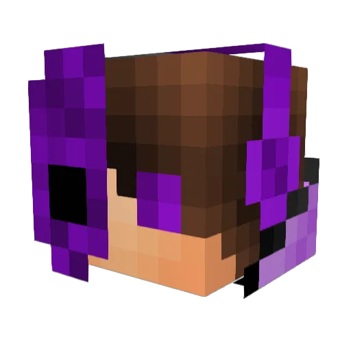 bupenjohnsons Minecraft avatar head, 3D render