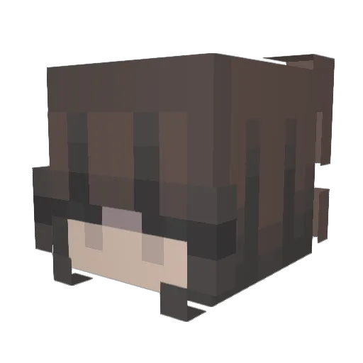 burentoo Minecraft avatar head, 3D render