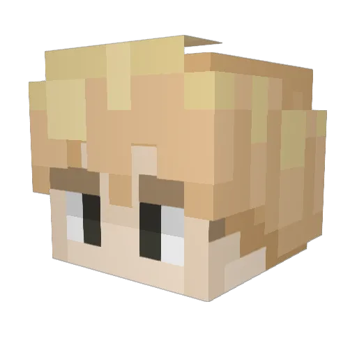 burg4881 Minecraft avatar head, 3D render
