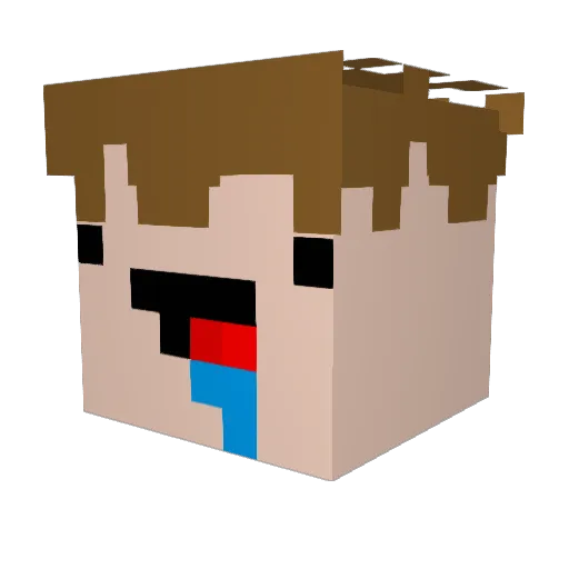 burgerboiiui Minecraft avatar head, 3D render