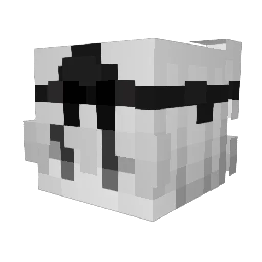 burgerboy66 Minecraft avatar head, 3D render