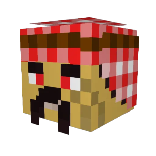 burgerflip12 Minecraft avatar head, 3D render