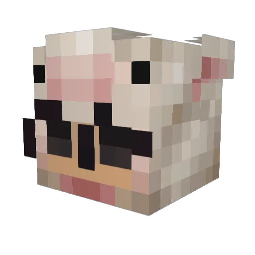 burgerissleepy Minecraft avatar head, 3D render
