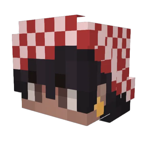 burgermeking Minecraft avatar head, 3D render