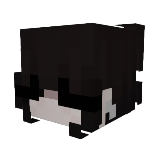 burglarise Minecraft avatar head, 3D render