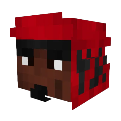 burkifly6 Minecraft avatar head, 3D render