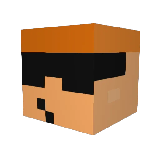 burmy0511 Minecraft avatar head, 3D render