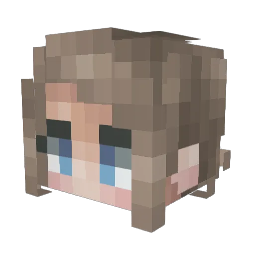 burnfire88 Minecraft avatar head, 3D render