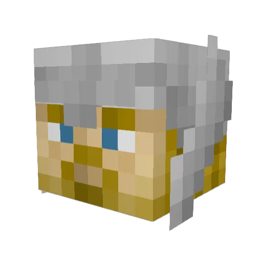 burnify23 Minecraft avatar head, 3D render