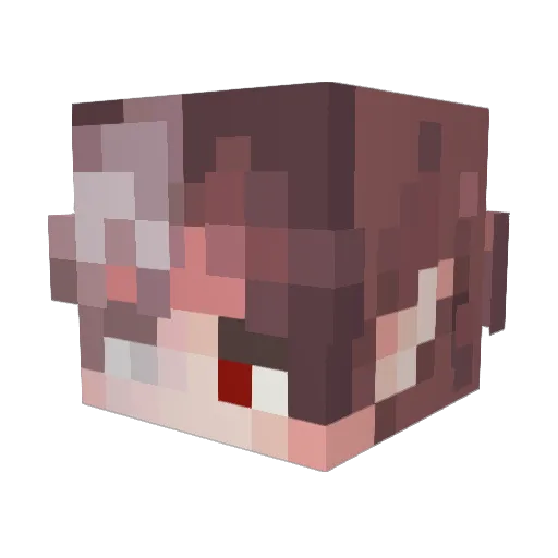 burning_rosess Minecraft avatar head, 3D render