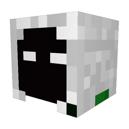 burningblaze371 Minecraft avatar head, 3D render