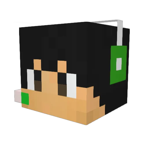 burningcorona Minecraft avatar head, 3D render