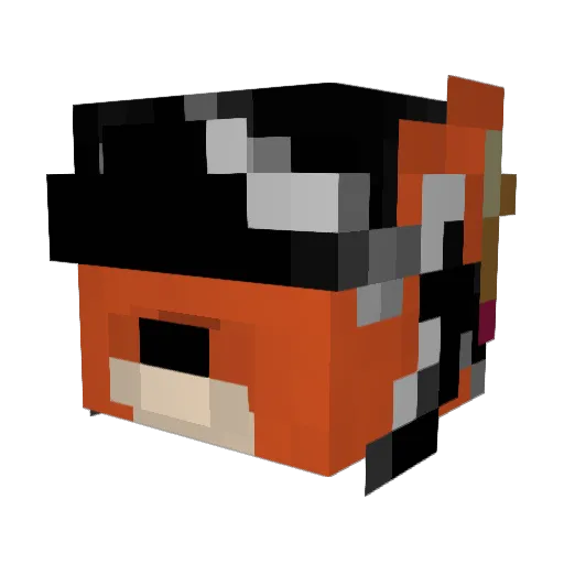 burningfox6 Minecraft avatar head, 3D render