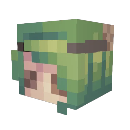 burningorchid Minecraft avatar head, 3D render