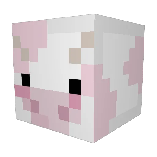 burnjjk Minecraft avatar head, 3D render