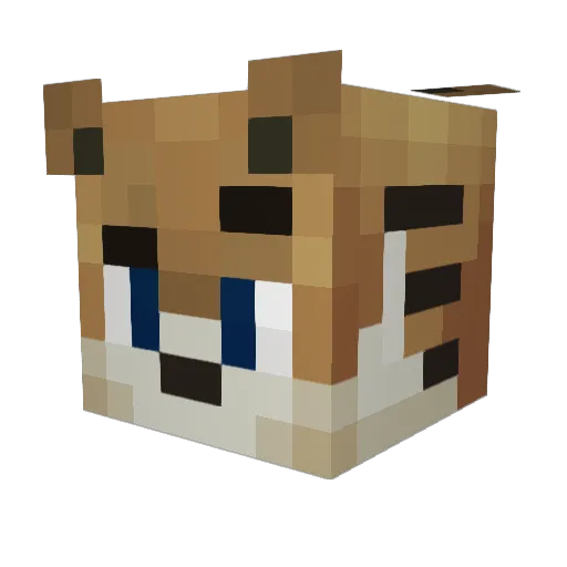 burnplays Minecraft avatar head, 3D render