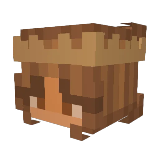burnt_toast4301 Minecraft avatar head, 3D render