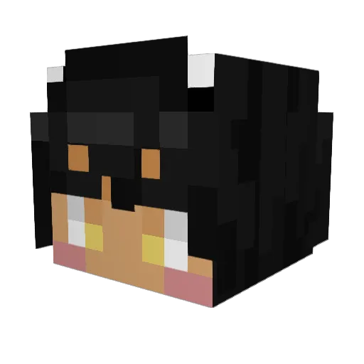 burntbrowni Minecraft avatar head, 3D render
