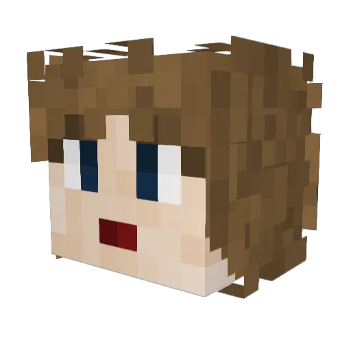 burntchips14 Minecraft avatar head, 3D render