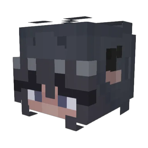 burntdinonuggets Minecraft avatar head, 3D render