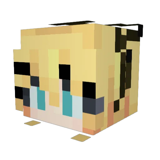 burntfrenchfries Minecraft avatar head, 3D render