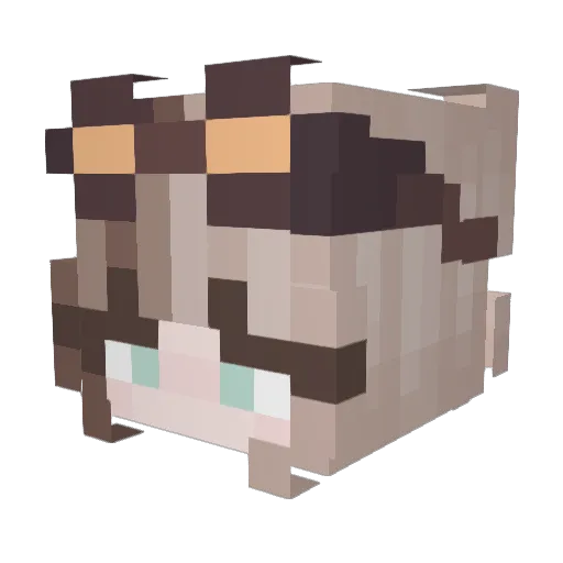 burntlemon370 Minecraft avatar head, 3D render