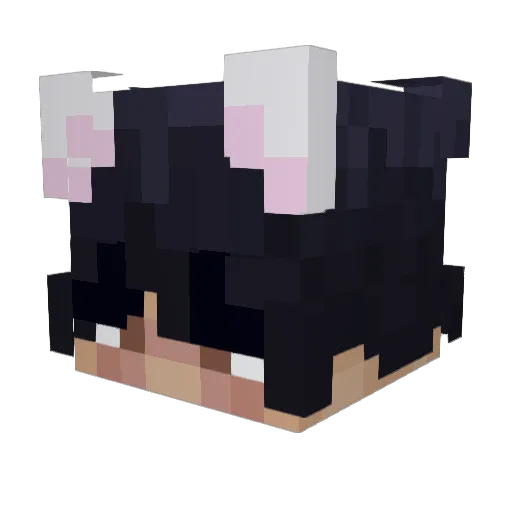 burntoasties Minecraft avatar head, 3D render