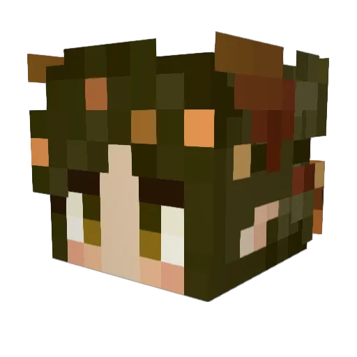 burnttlizard Minecraft avatar head, 3D render